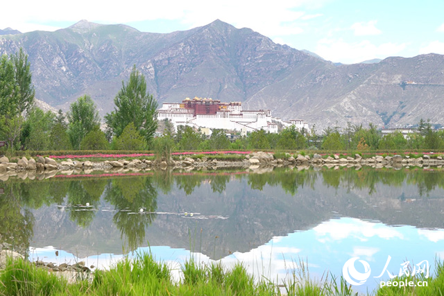 雄偉的布達(dá)拉宮與綠意蔥蘢的南山隔河相望。人民網(wǎng)記者 劉凡攝