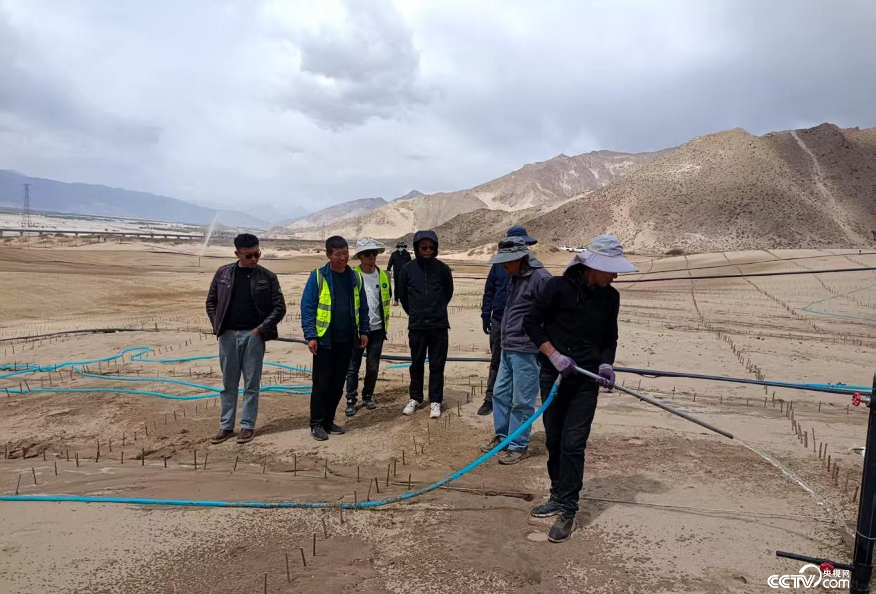 拉薩南北山綠化工程貢嘎段11號片區(qū)開展生態(tài)修復工程（主辦方供圖）