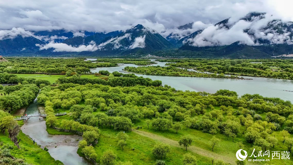 鳥瞰盛夏季節(jié)的雅尼濕地風(fēng)光。人民網(wǎng)記者 次仁羅布攝