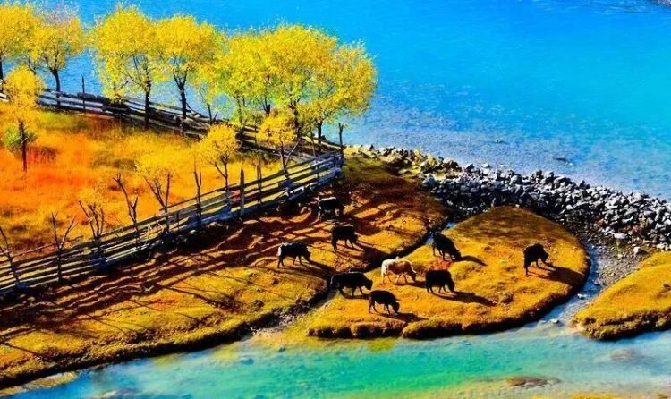 懂西藏的人，一定不會錯過林芝的秋天