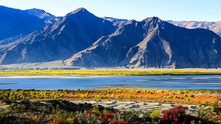 懂西藏的人，一定不會錯過林芝的秋天