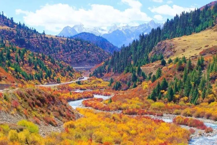 懂西藏的人，一定不會錯過林芝的秋天