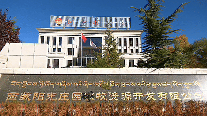 青稞“蛻變”，牦?！俺鋈Α?！看西藏農(nóng)牧民的“十四五”豐收答卷