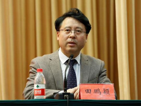 田鵬穎：投入其中、樂(lè)在其中、安身其中