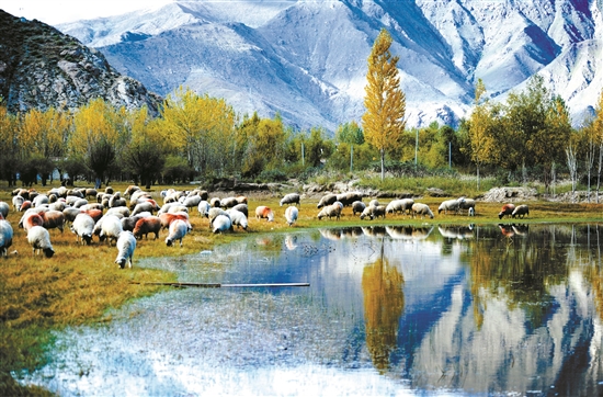 曲水縣郊外的怡人風(fēng)景。 拉薩日報 平措旺堆攝.jpg